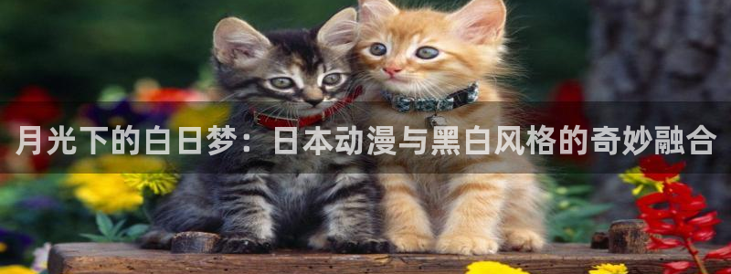 omofun网页入口版：月光下的白日梦：日本动漫与黑白风格的奇妙融合