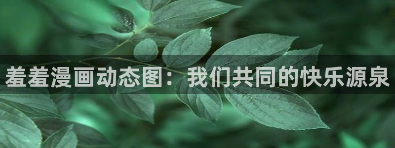 omofun动画：羞羞漫画动态图：我们共同的快乐源泉