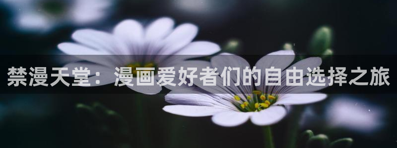 omofun网页版免费：禁漫天堂：漫画爱好者们的自由选择之旅