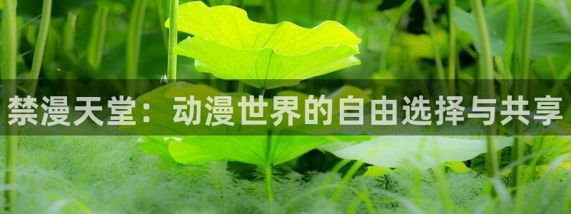 omofun下载app：禁漫天堂：动漫世界的自由选择与共享