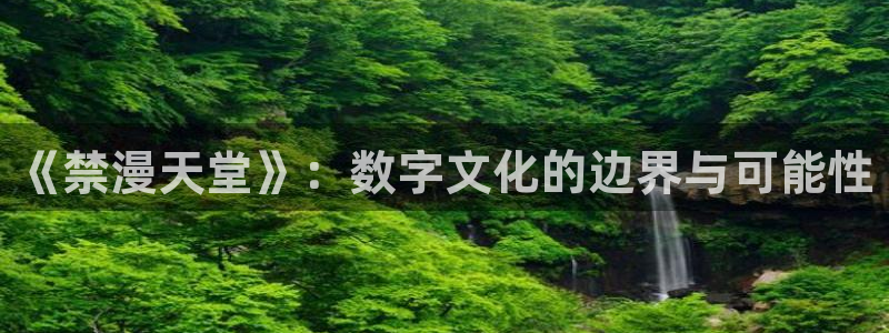 囧次元正版下载入口：《禁漫天堂》：数字文化的边界与可能性