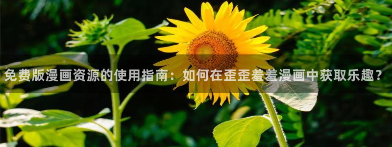 omofun入口：免费版漫画资源的使用指南：如何在歪歪羞羞漫画中获取乐趣？