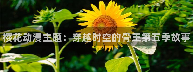 omofun动漫官方正版入口：樱花动漫主题：穿越时空的骨王第五季故事