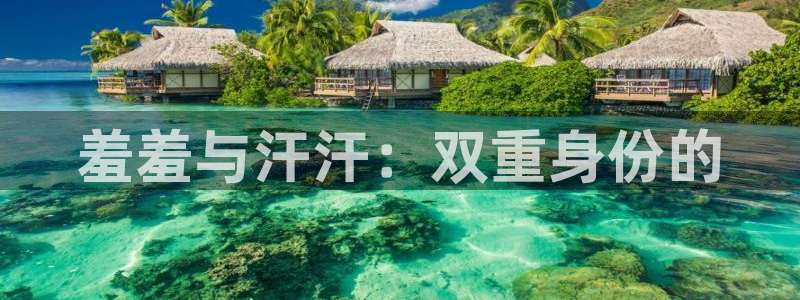 omofun动漫在线观看免费全集：羞羞与汗汗：双重身份的