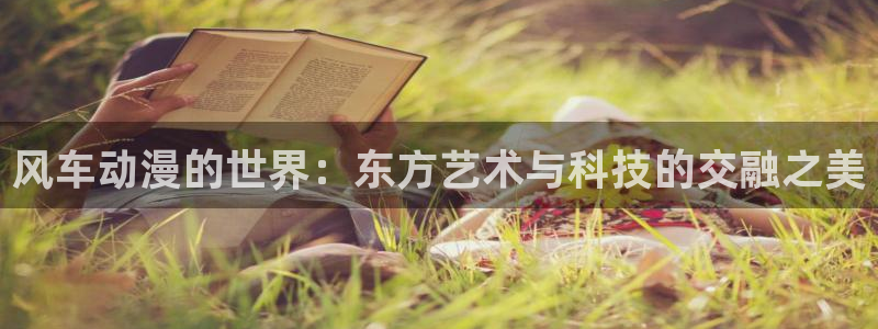 omofun网页版入口：风车动漫的世界：东方艺术与科技的交融之美